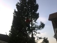 Größere Ansicht öffnen